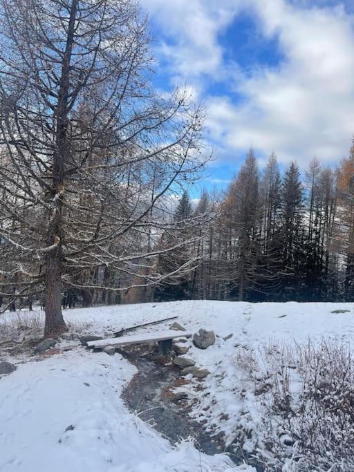 Confort Et Espace Pour Cet Appartement Duplex De 100 M2 Avec Grand Sejour Expose Sud Avec Cheminee, 4 Chambres , Acces Direct Aux Pistes De Ski Et Au Golf Dans La Residence Edenarc Avec Piscine, Jacuzzi Et Spa Bourg-Saint-Maurice Exterior foto